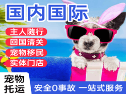 瑷珲机场托运国际宠物托运 【国